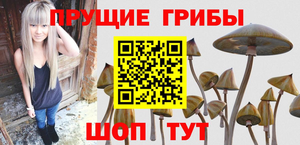 Саров  Галлюциногенные грибы мицелий  Вход с VPN 