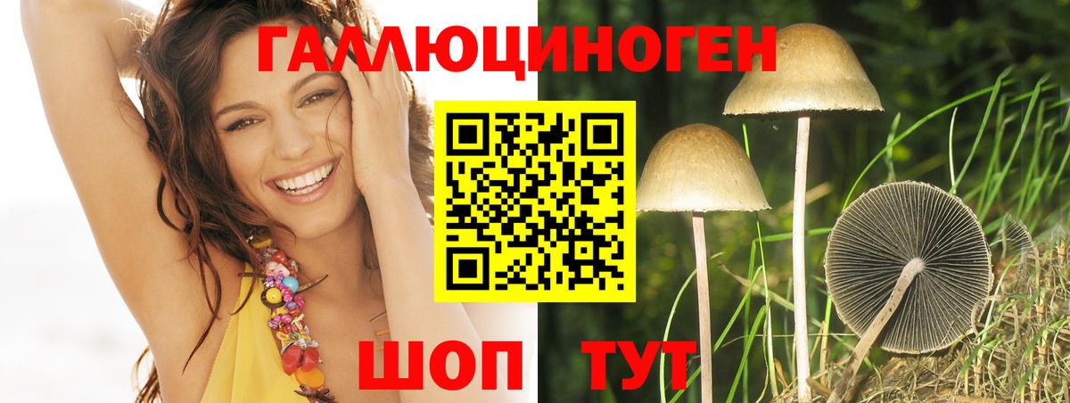 Галлюциногенные грибы мицелий Саров